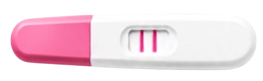 Pregnancy Test Two Lines